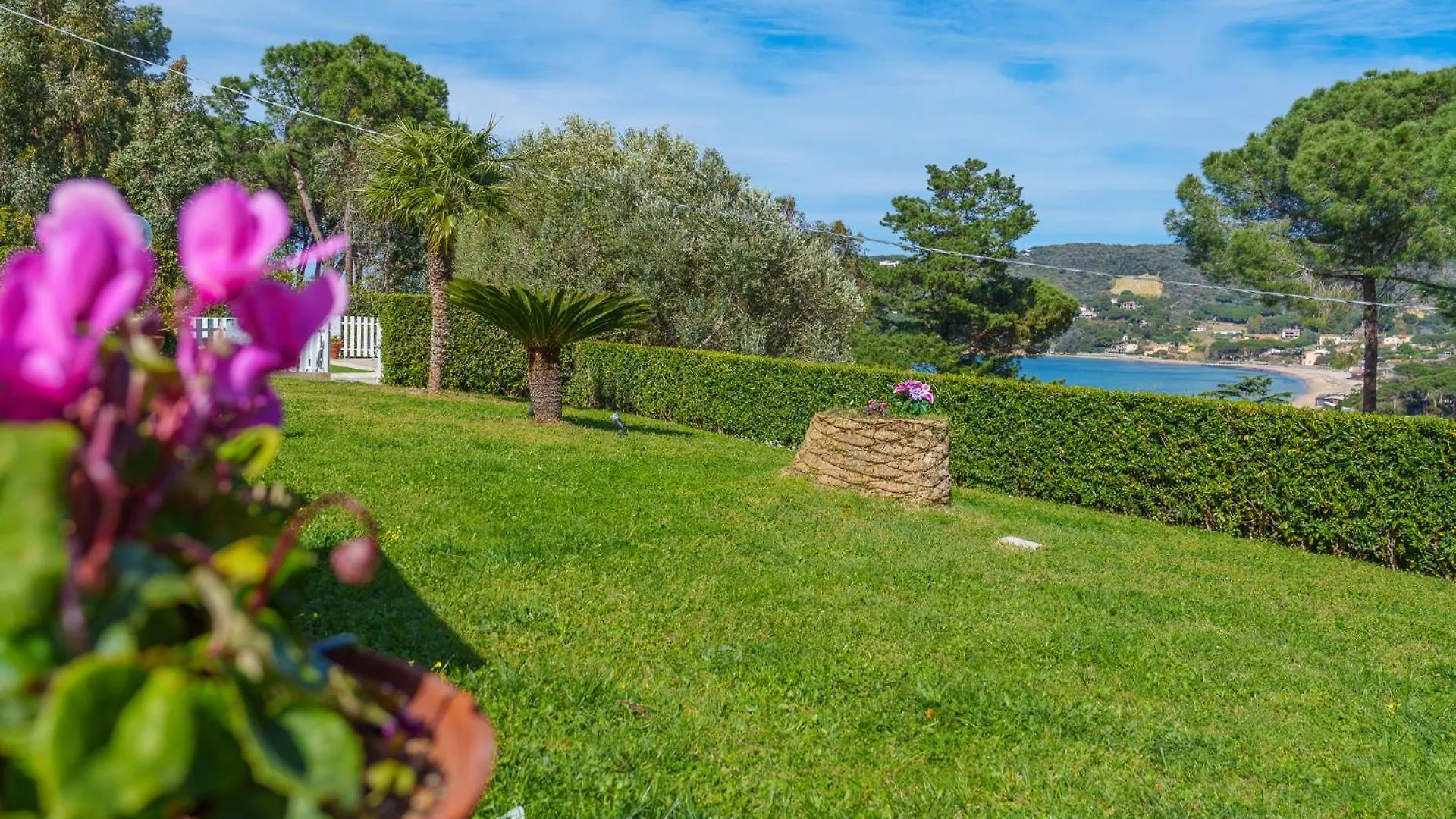 Marina Vip Holiday home Marciana